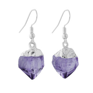 Amethyst Point Earrings