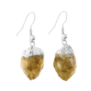 Citrine Point Earrings